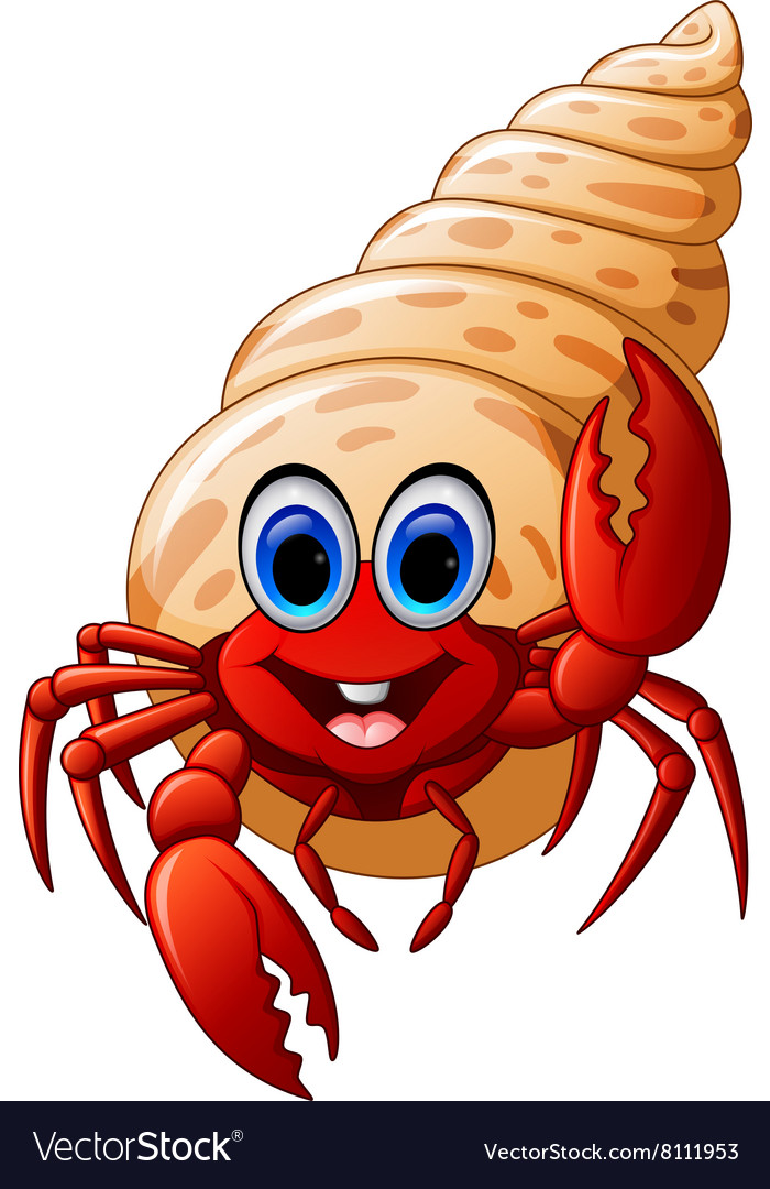 Hermit Crabs Pictures - Bilscreen