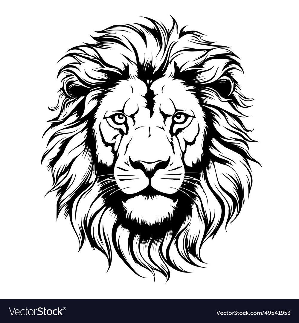 Lion sketchy graphical black and white portrait Vector Image