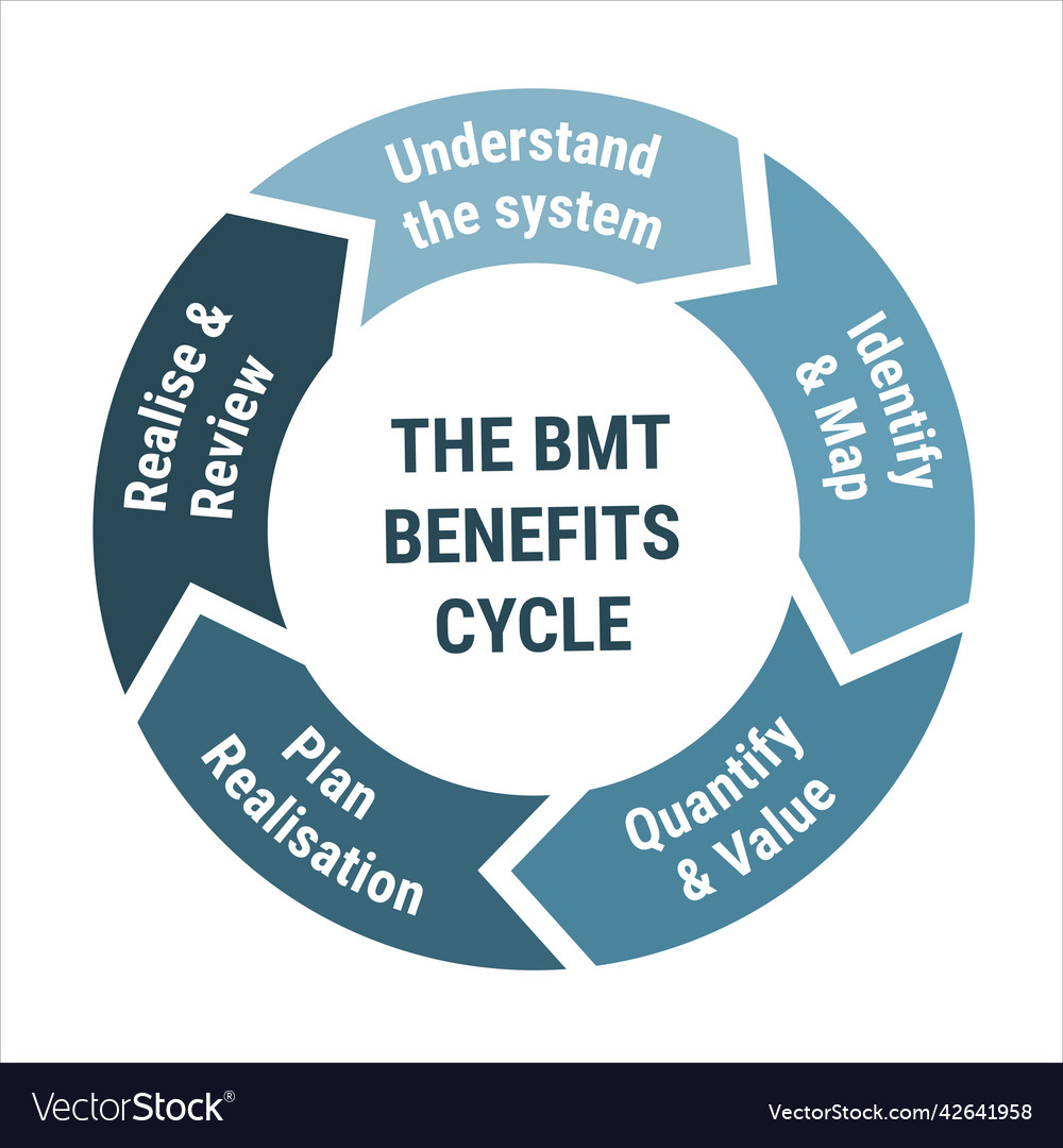 Bmt benefits cycle scheme methodology circle Vector Image