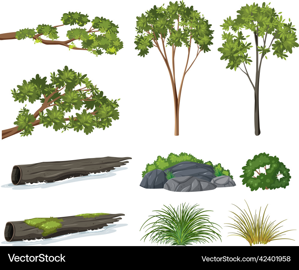 Isolated trees and nature objects set Royalty Free Vector