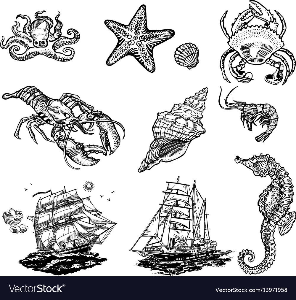 Sea life icons Royalty Free Vector Image - VectorStock