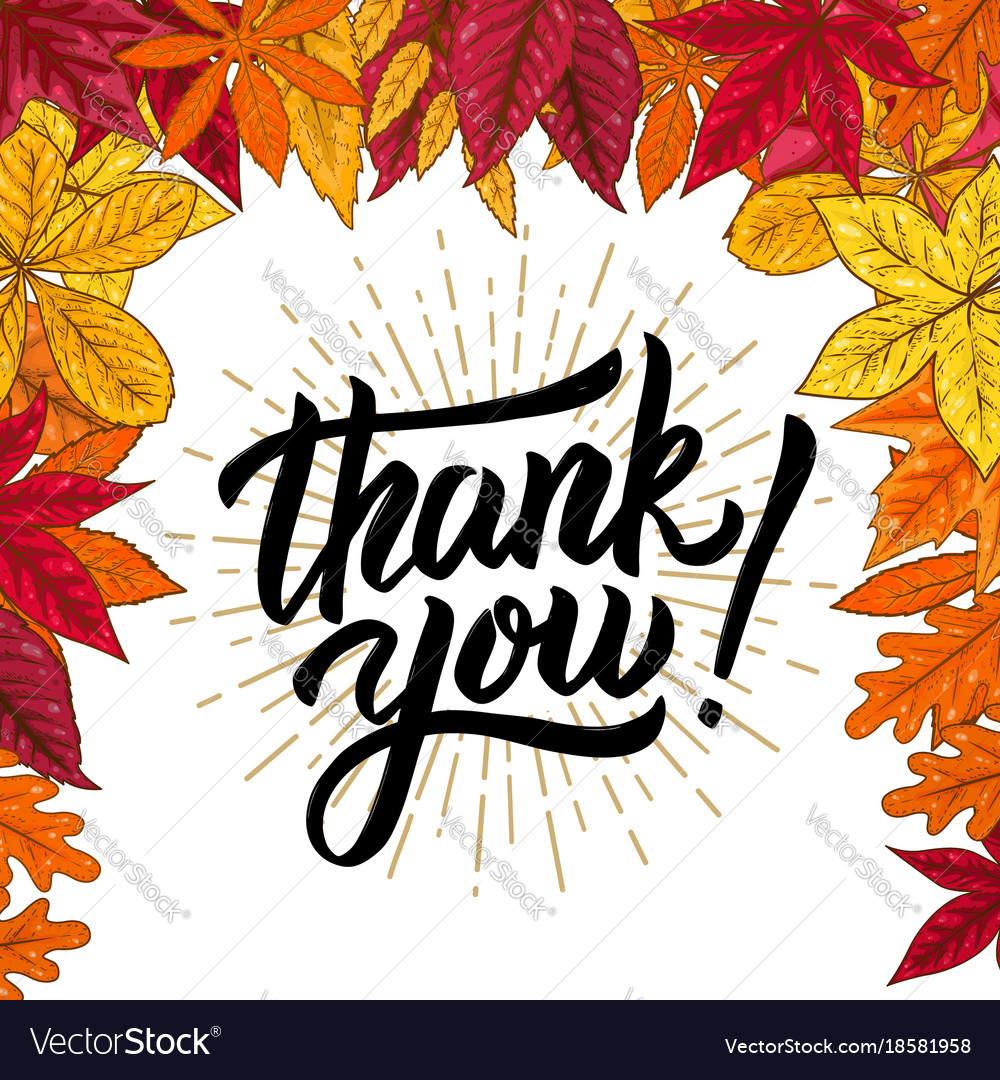 Thank you hand drawn lettering phrase Royalty Free Vector