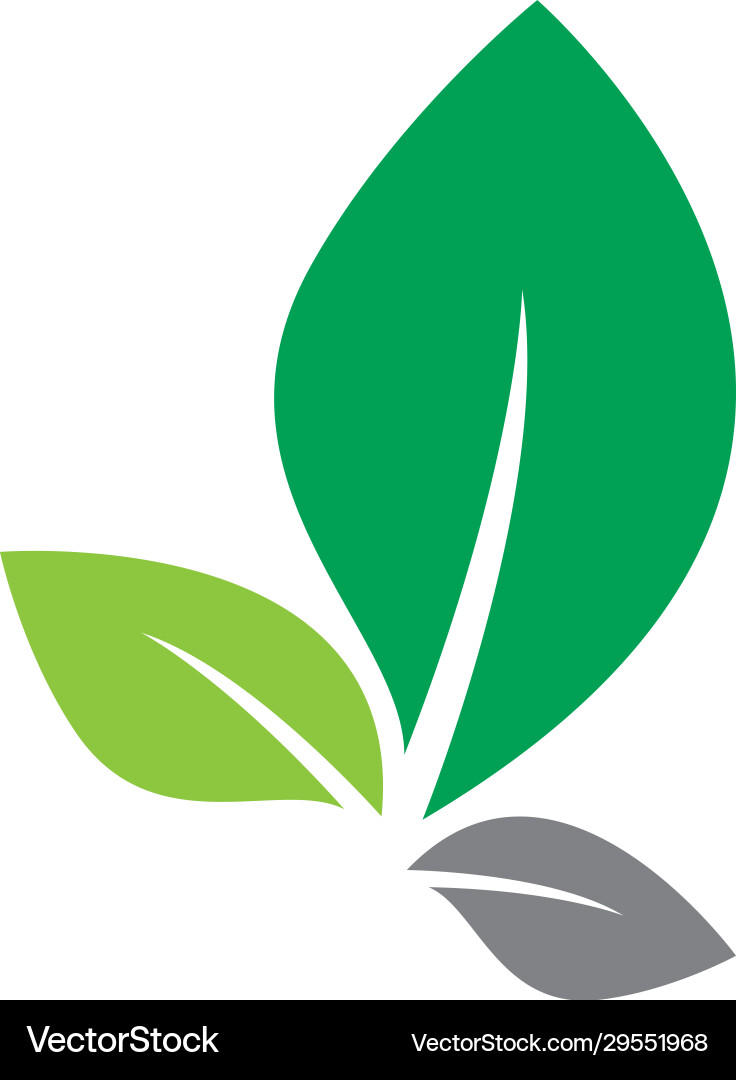 Leaf logo icon Royalty Free Vector Image - VectorStock