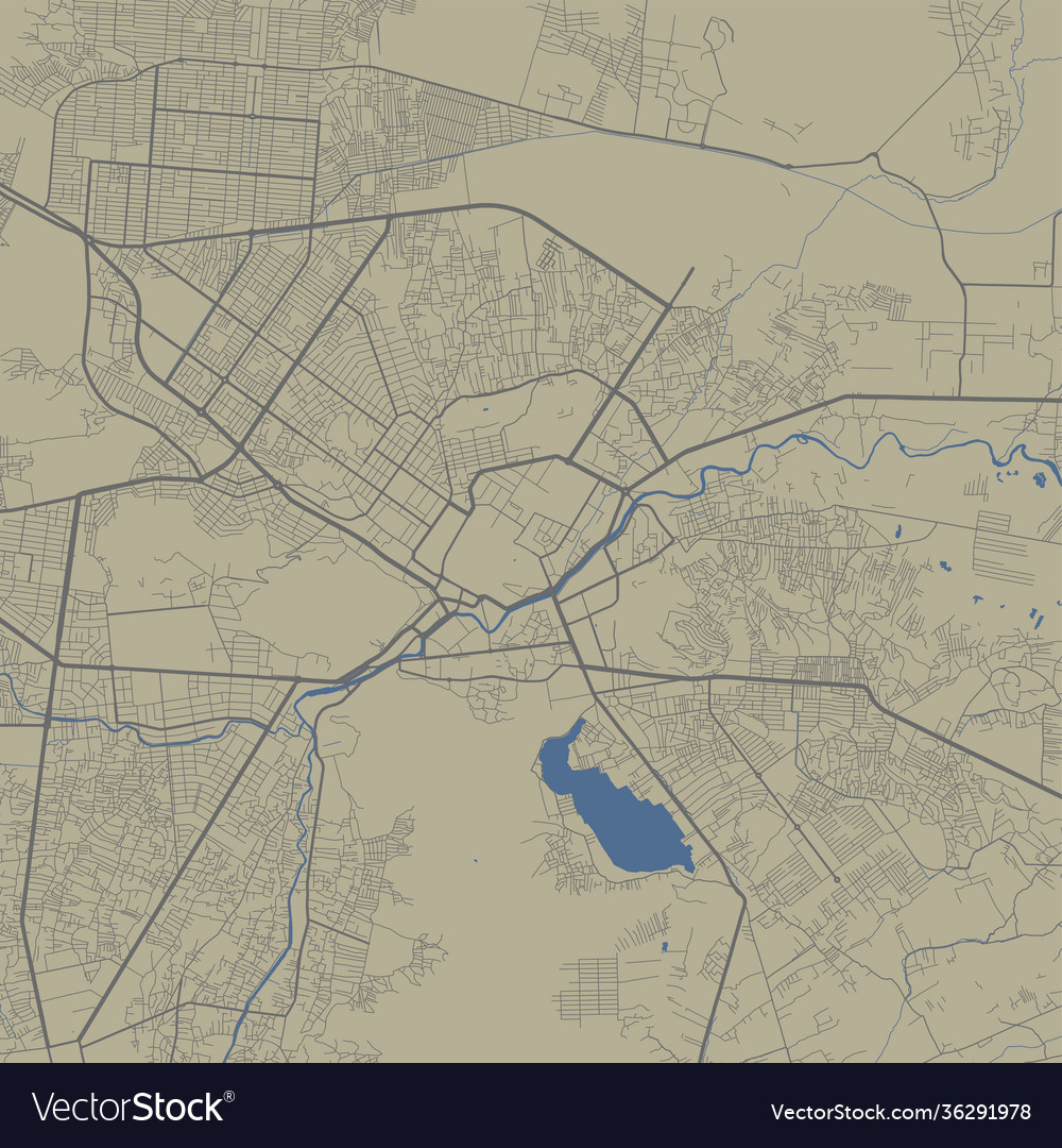 Detailed map kabul city linear print Royalty Free Vector