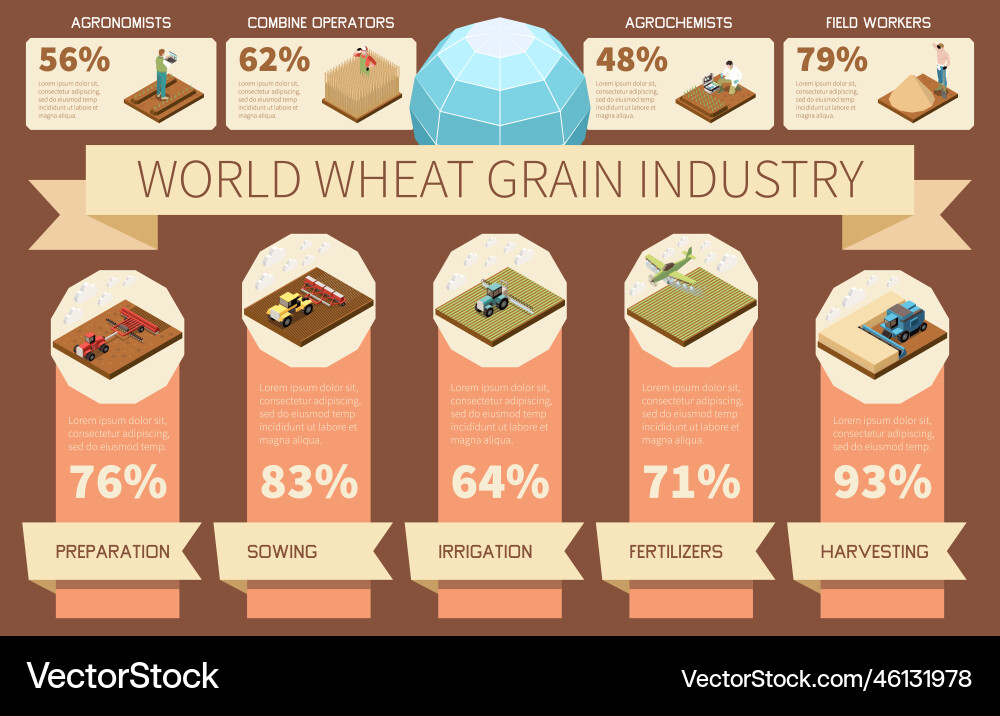World wheat grain industry infographics Royalty Free Vector