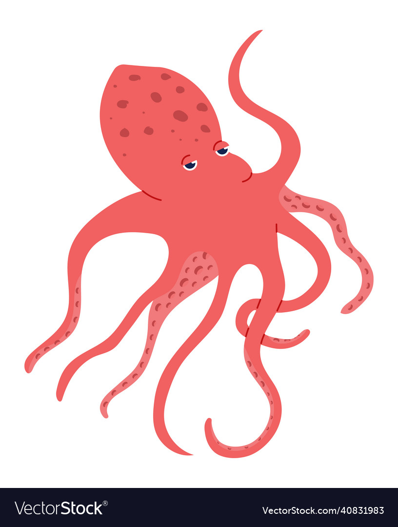 Red octopus isolated on white marine life Vector Image