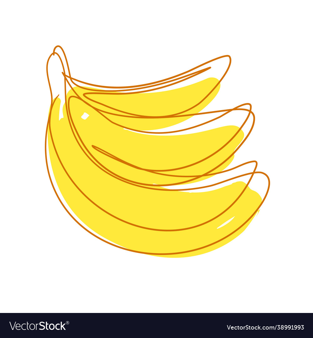 Buch yellow banana in continuous line drawing Vector Image