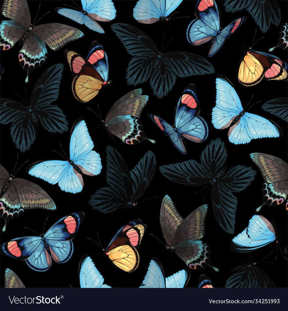 Seamless pattern with blue and yellow butterflies Vector Image