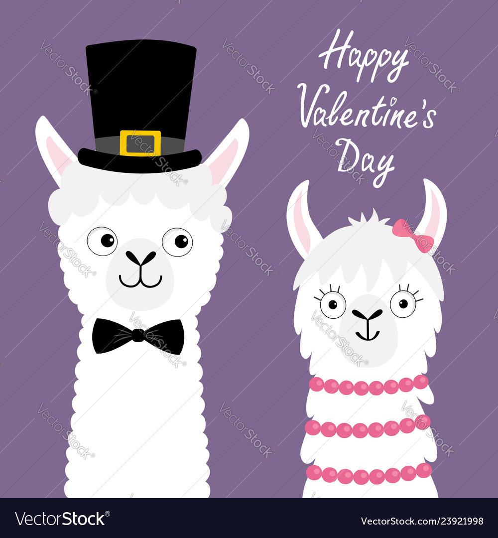 Llamas llama lots Happy valentines day llama alpaca animal set love Vector Image