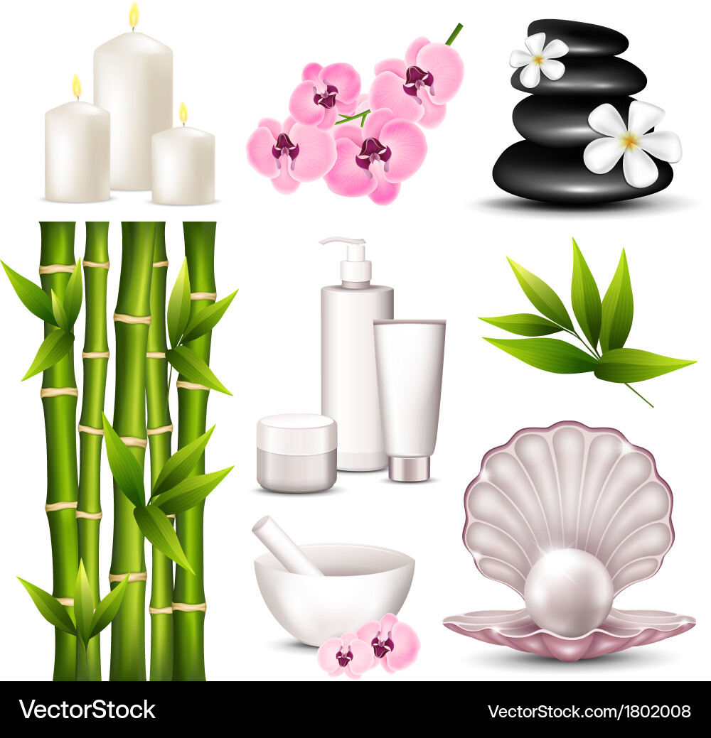 Set spa icons Royalty Free Vector Image - VectorStock