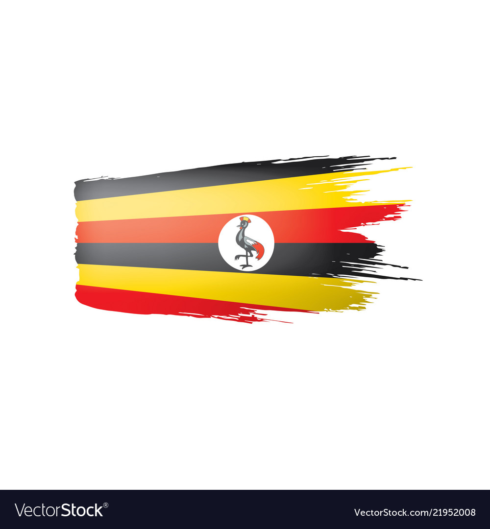 Uganda flag on a white Royalty Free Vector Image