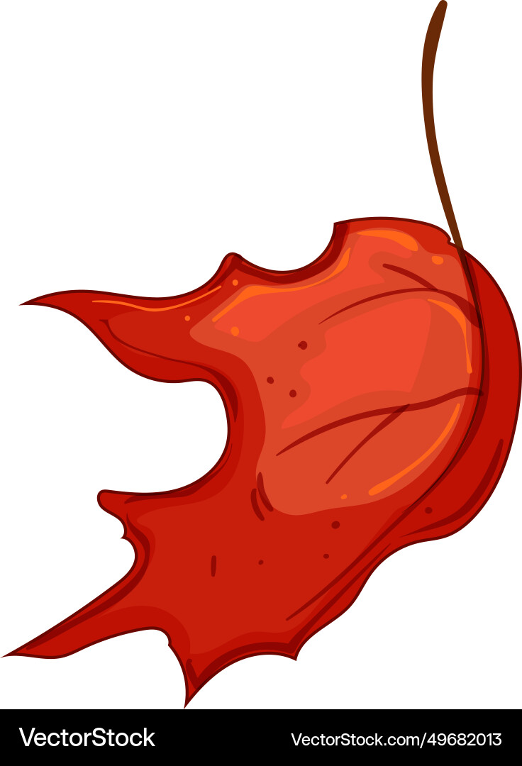 Symbol maple leaf cartoon Royalty Free Vector Image