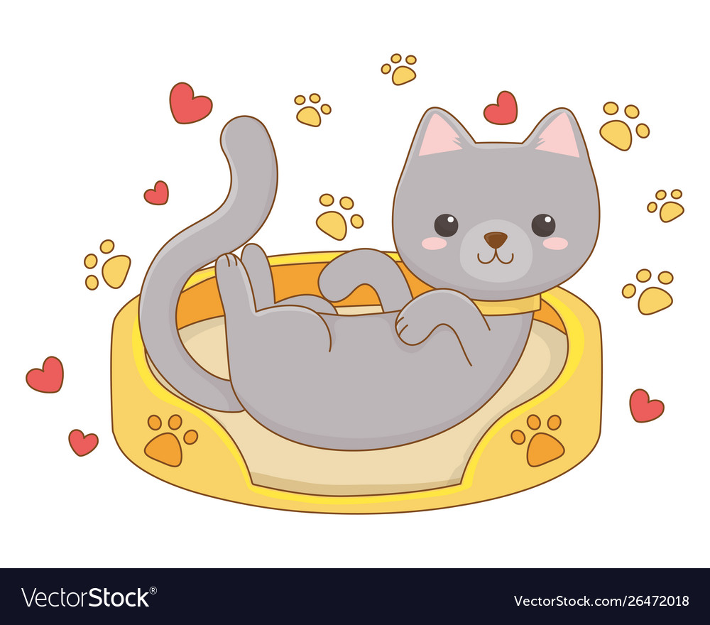 Isolated cat cartoon design Royalty Free Vector Image