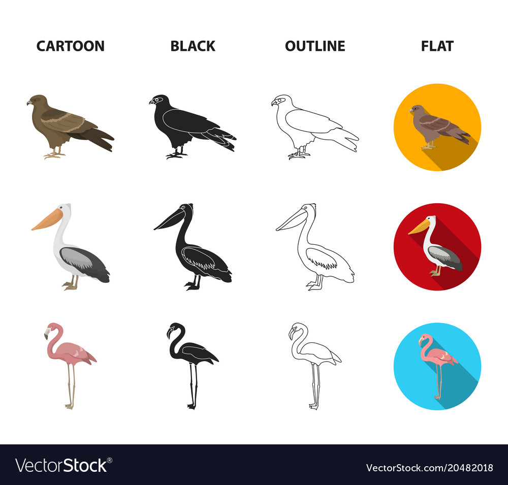 Kite pelican flamingo swan birds set Royalty Free Vector