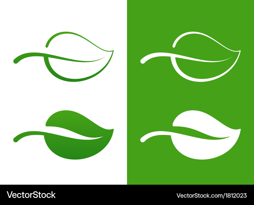 Green leaf Royalty Free Vector Image - VectorStock