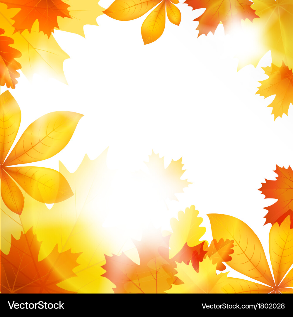 Autumn leaf fall Royalty Free Vector Image - VectorStock