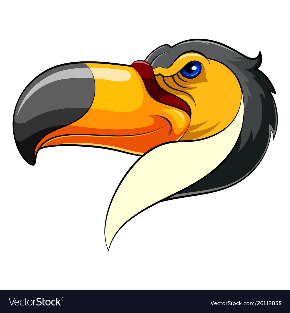 Mascot head an toucan vector image Mascot head an toucan