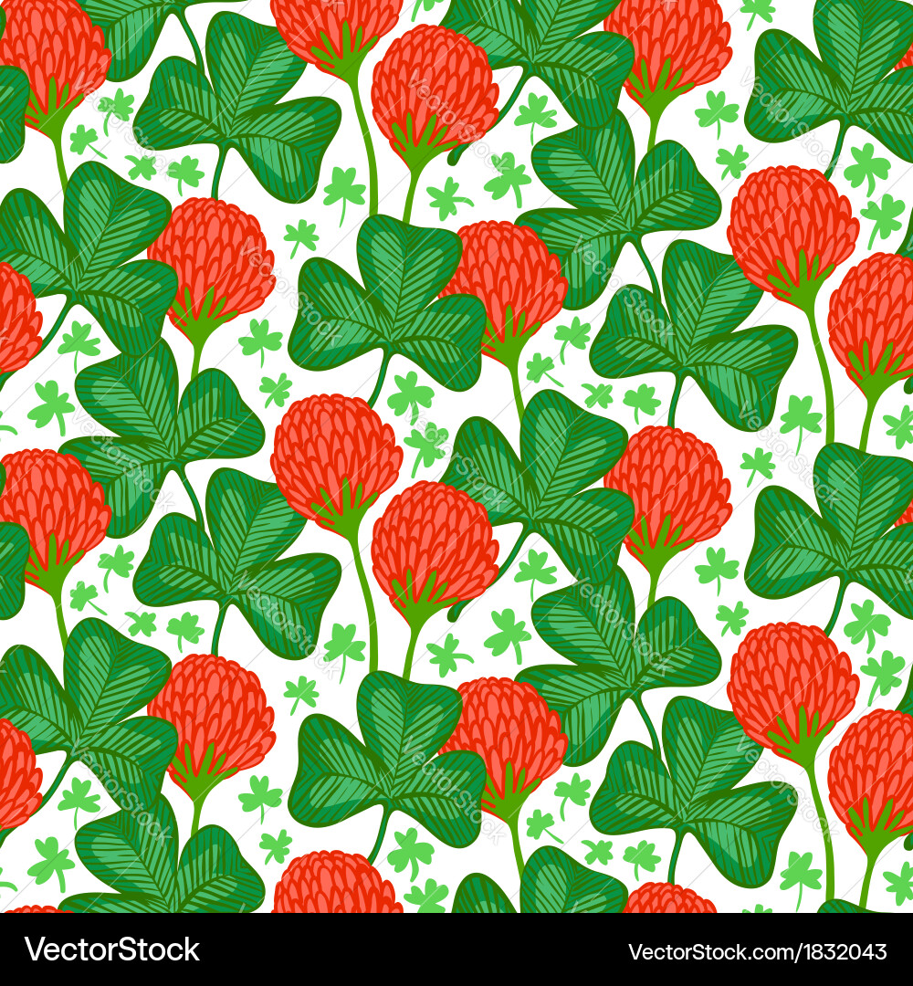 Floral pattern with clover flowers Royalty Free Vector Image