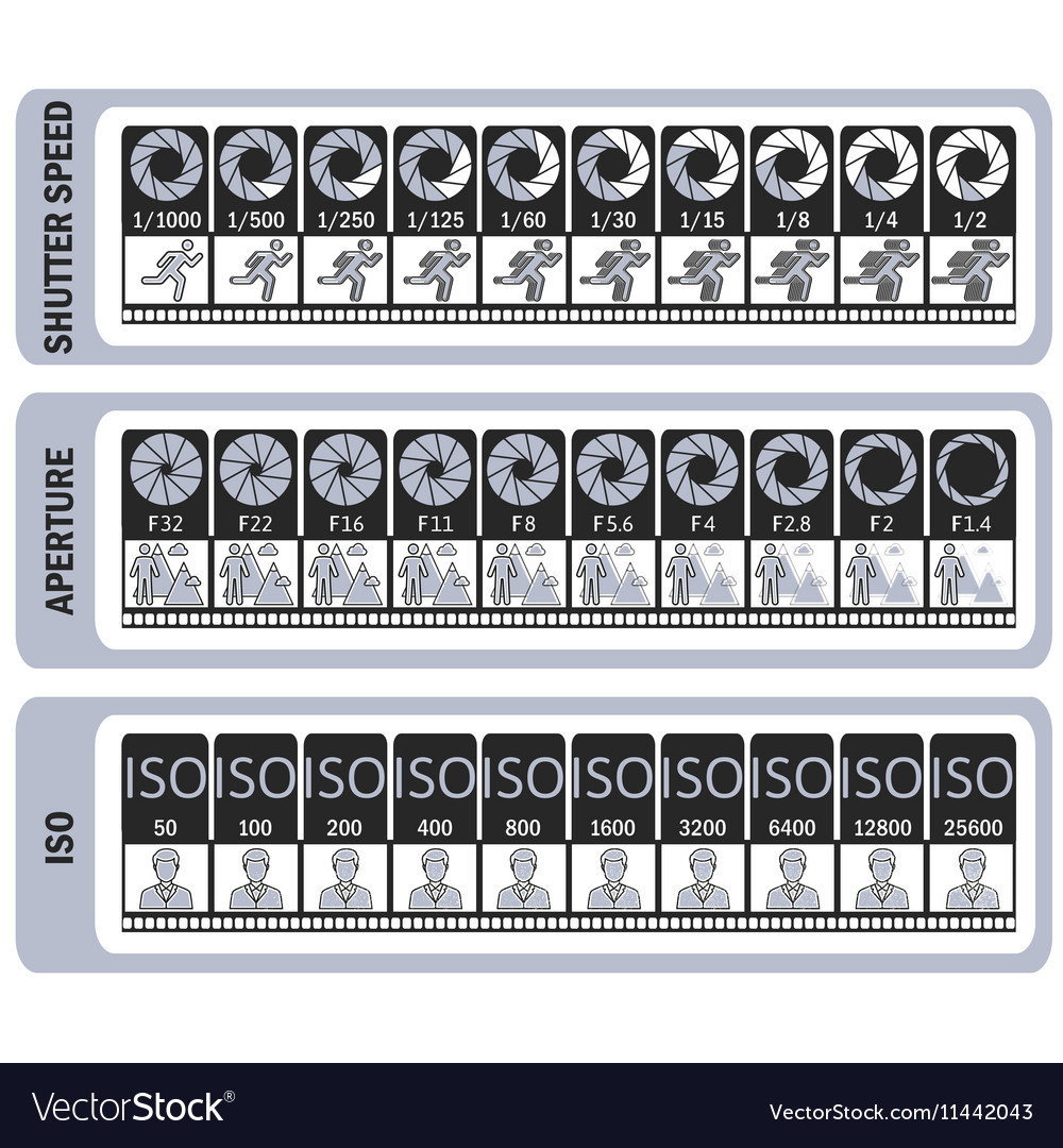photography cheat sheet royalty free vector image photography cheat sheet