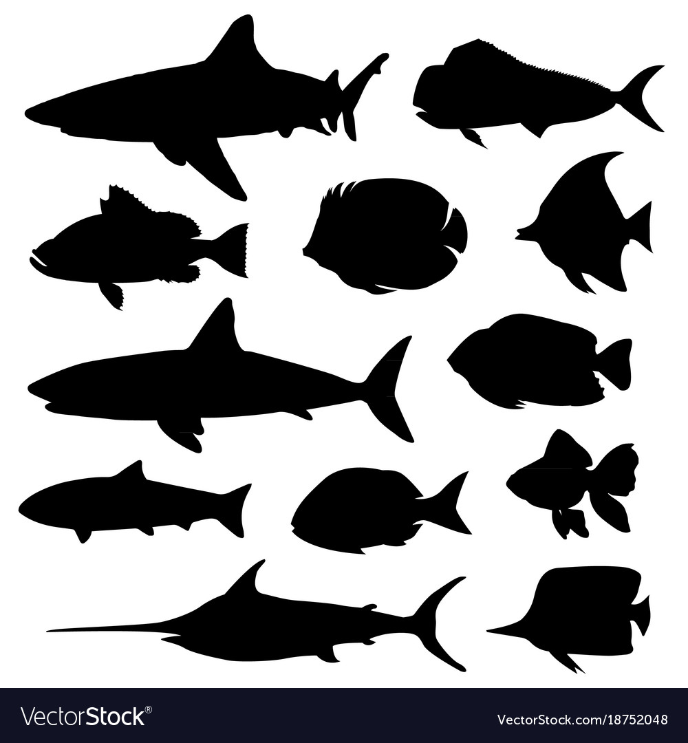 Fish silhouette Royalty Free Vector Image - VectorStock