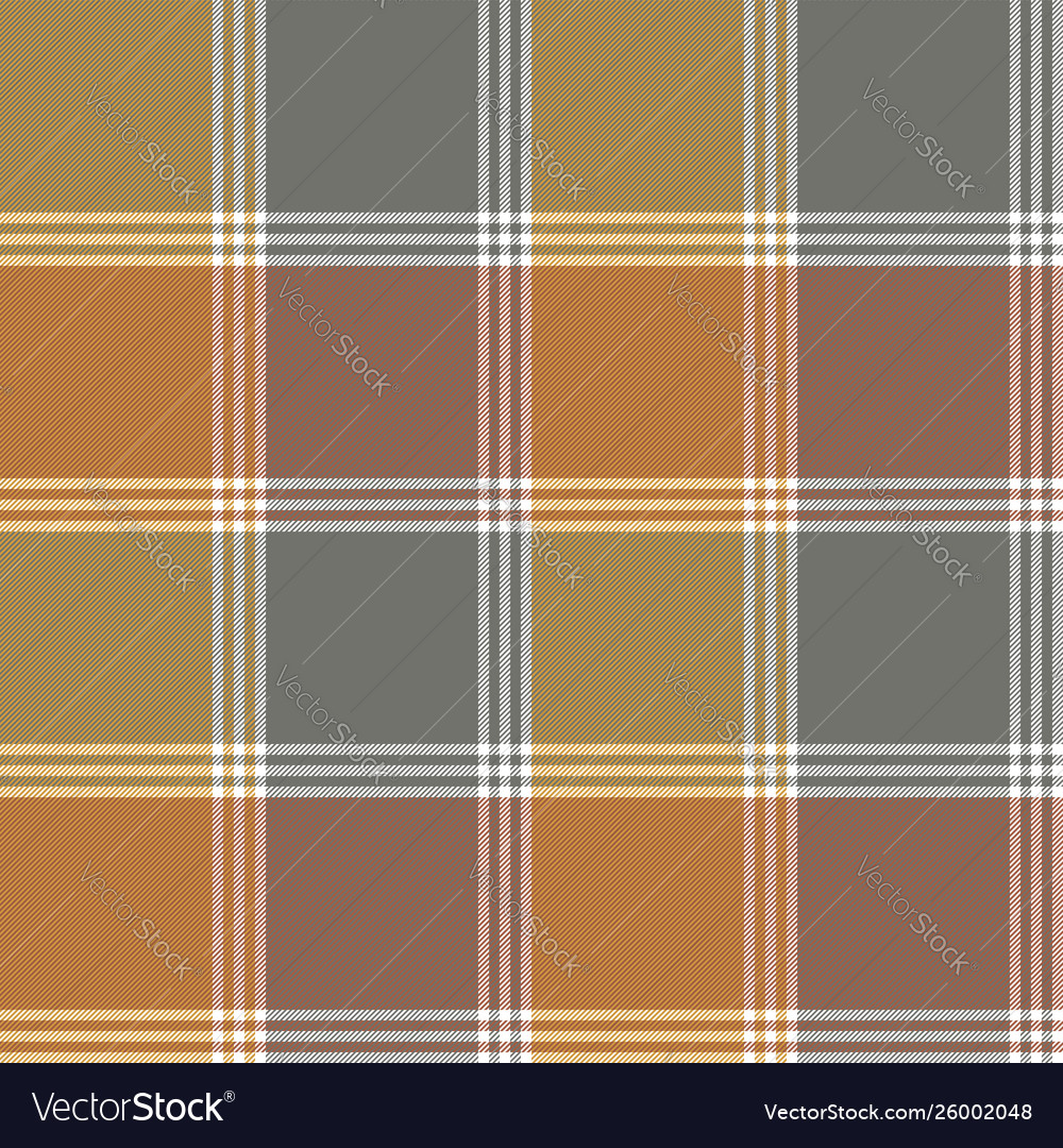 Retro fabric texture check seamless pattern Vector Image