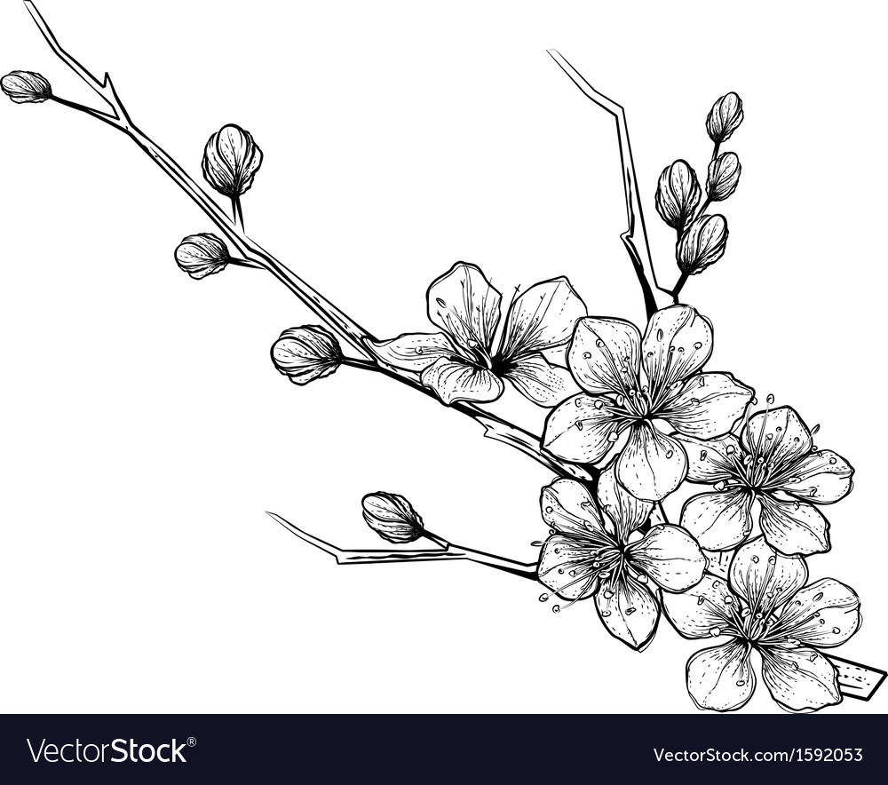 Flowers editable and scalable at any size Vector Image