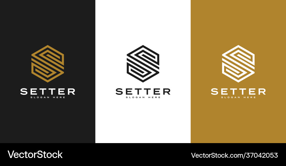 Initial s hexagon logo design Royalty Free Vector Image