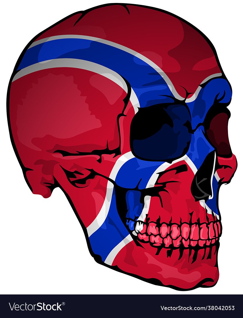 Norwegian flag painted on a skull Royalty Free Vector Image