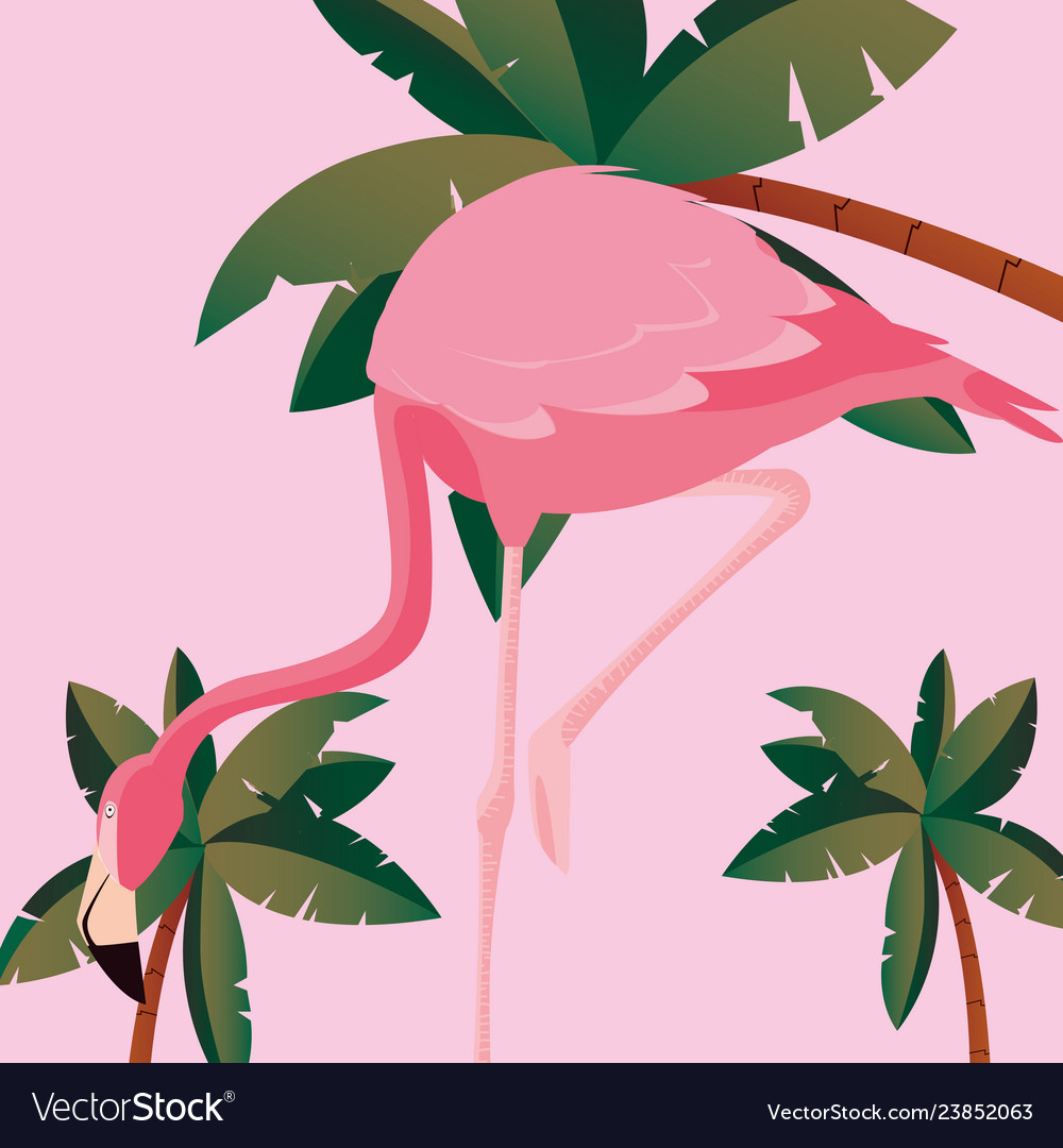 Tropical flamingo design Royalty Free Vector Image