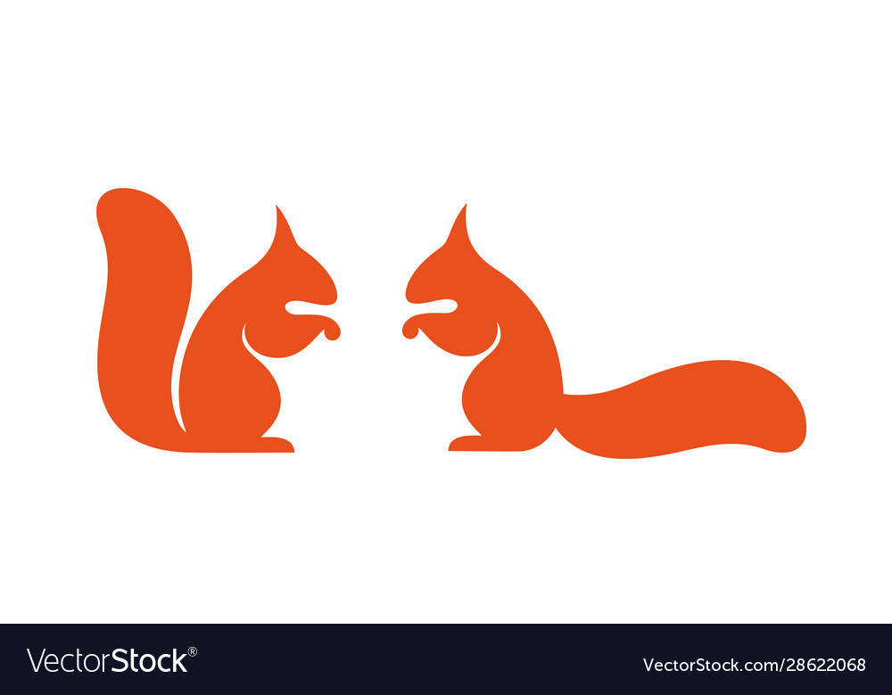 Squirrel Royalty Free Vector Image - VectorStock
