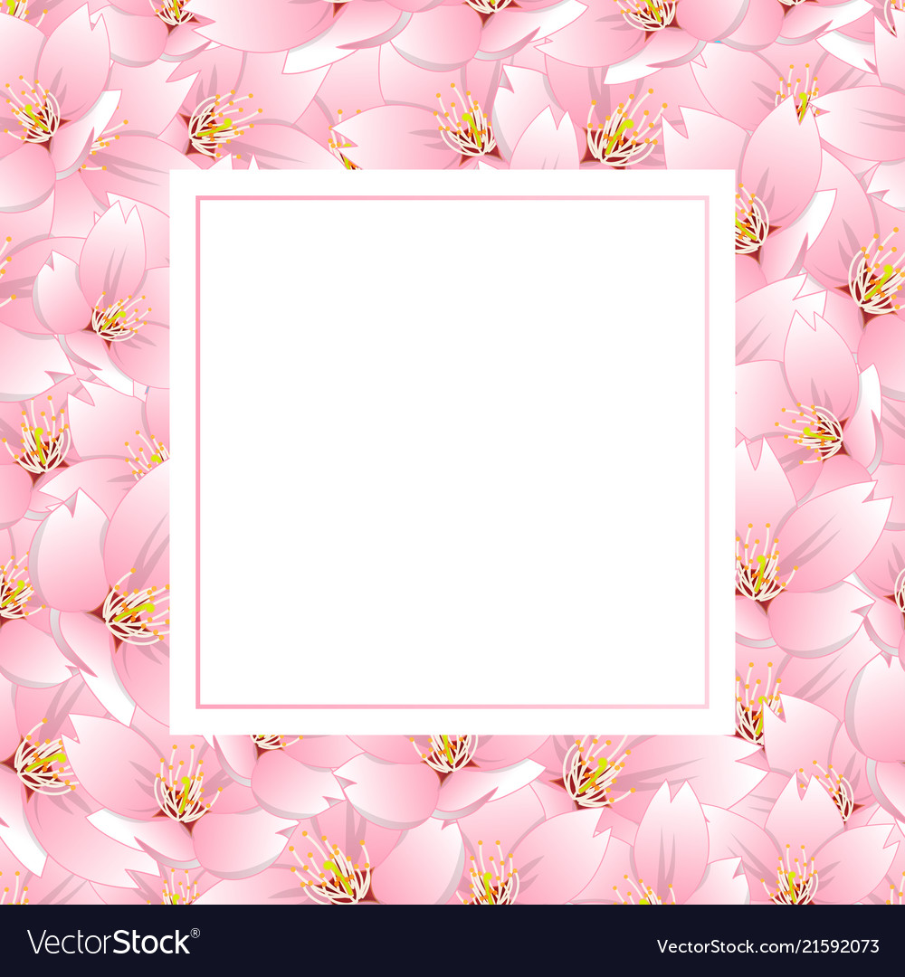 Sakura cherry blossom banner card Royalty Free Vector Image