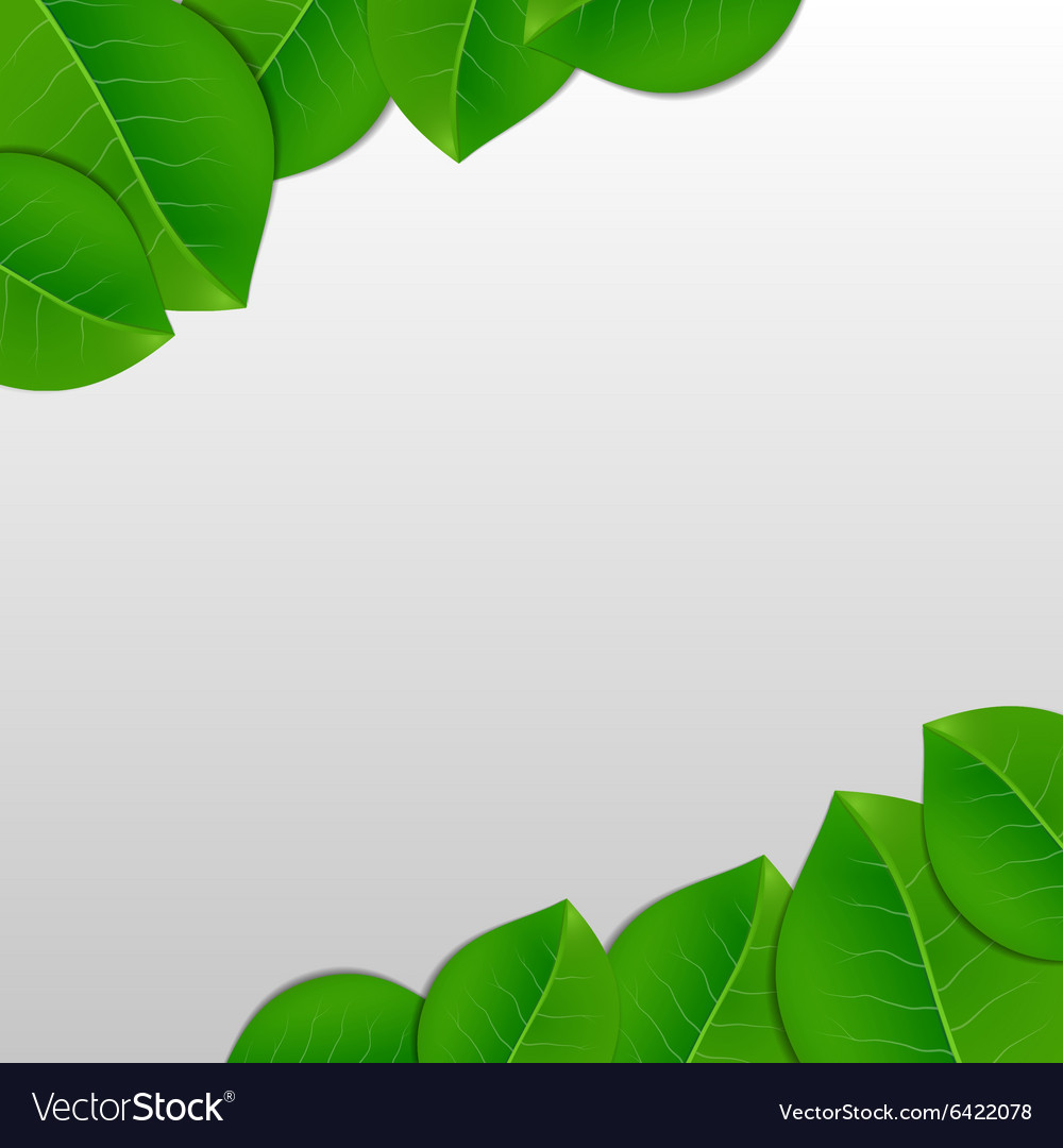 Nature Green Leaves Background Royalty Free Vector Image