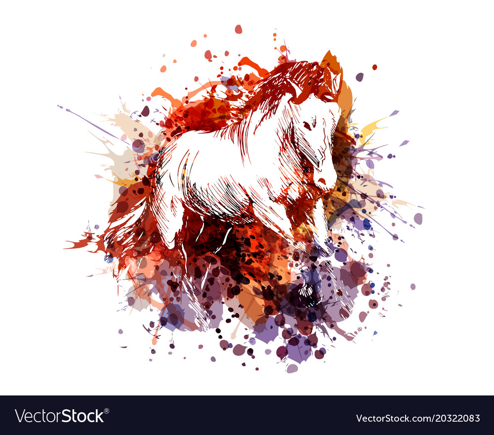 Color of a horse Royalty Free Vector Image - VectorStock