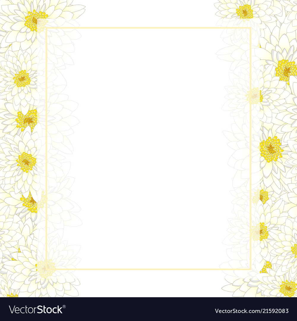 White chrysanthemum banner card border Royalty Free Vector