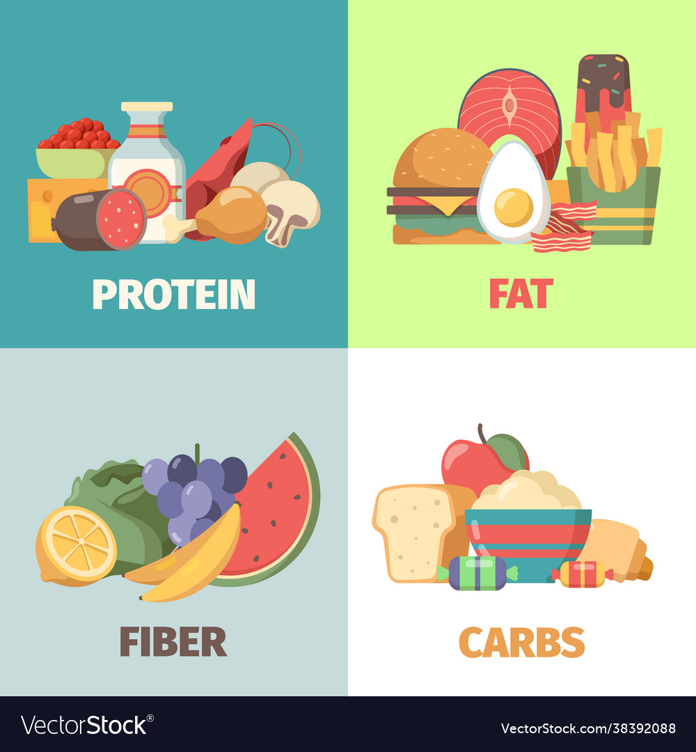 Food Nutrition Proteins Fats Carbohydrates Fiber Vector Image