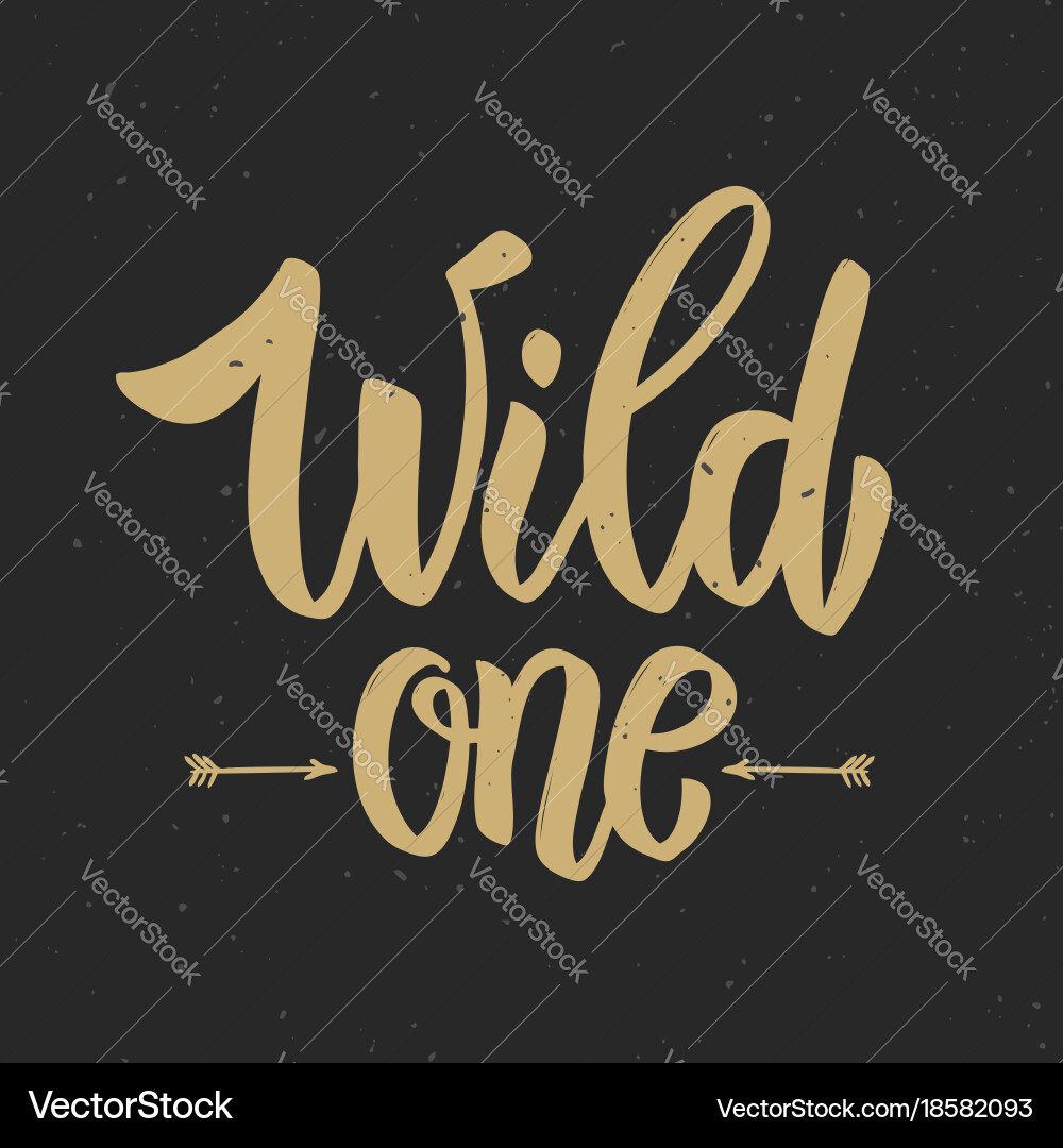 Wild one hand drawn lettering phrase on grunge Vector Image