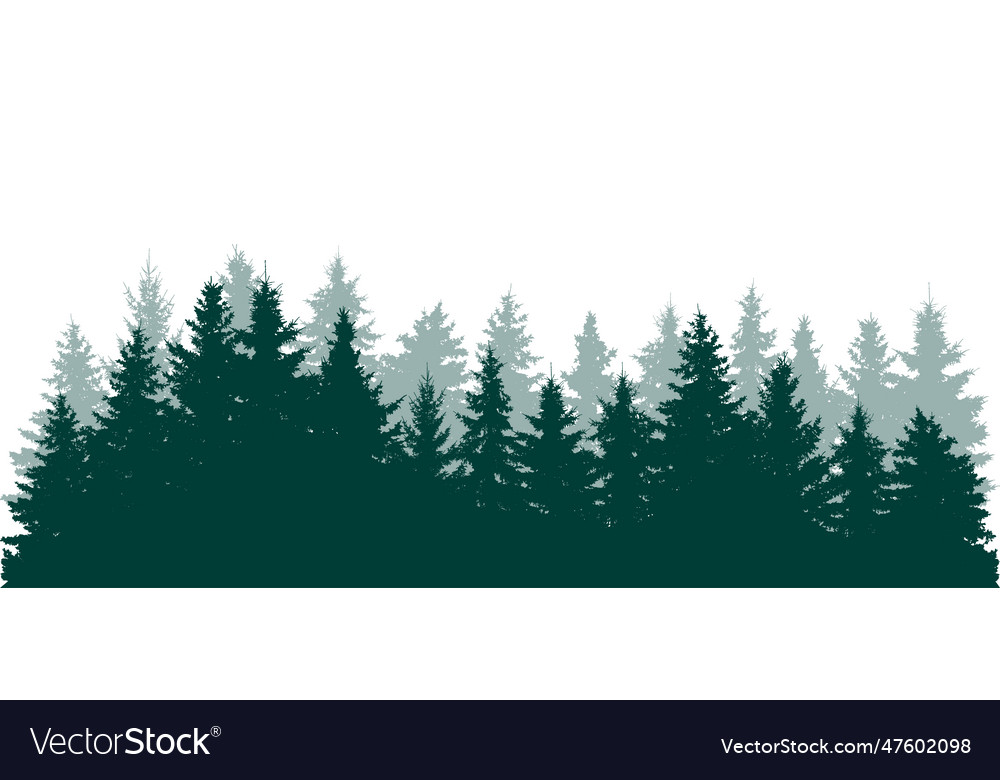 Forest background beautiful landscape wallpaper Vector Image