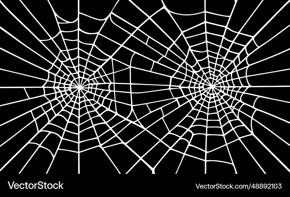 Black background with spider round white webs Vector Image