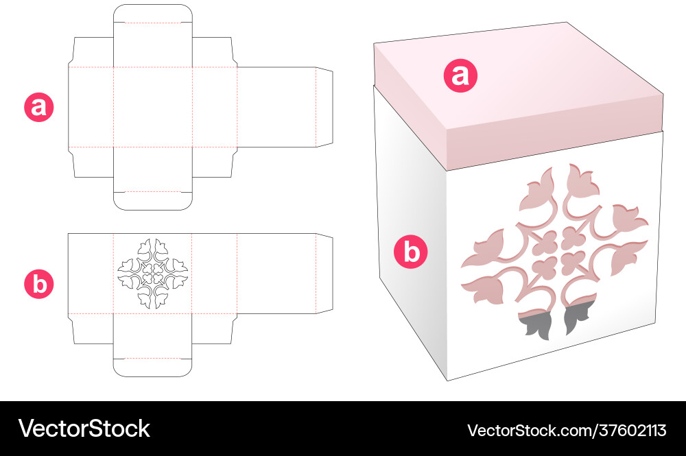 Rectangular box with stenciled cover die cut Vector Image