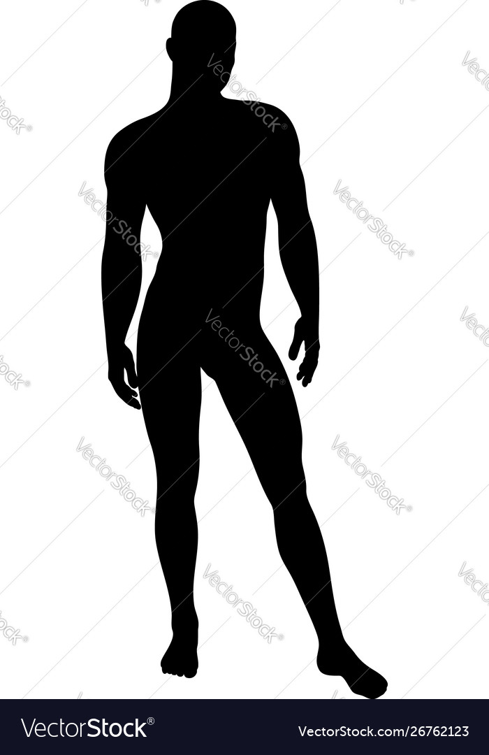 Standing pose man silhouette Royalty Free Vector Image