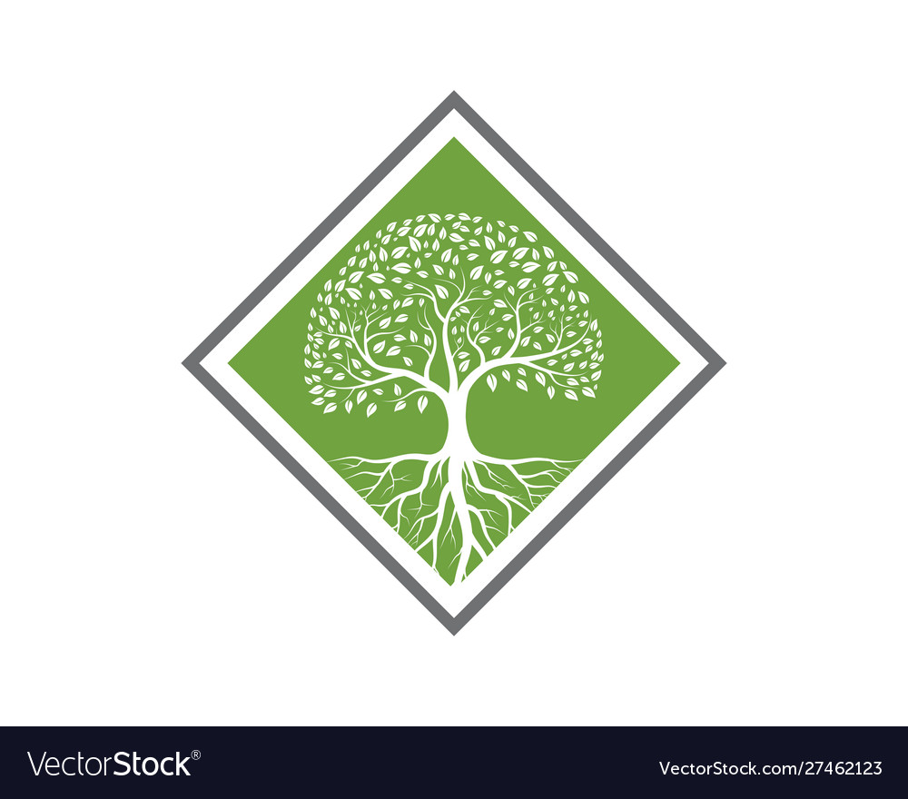 Tree icon logo template Royalty Free Vector Image