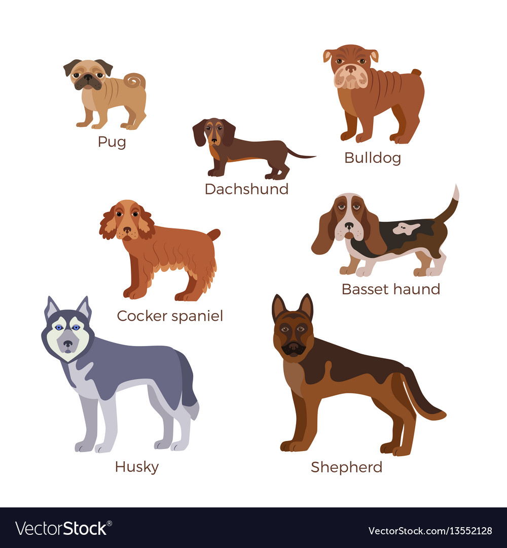 Dog breed silhouette Royalty Free Vector Image