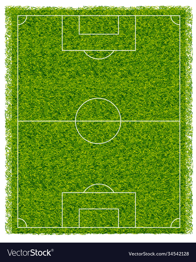 Realistic classic football field with two-tone Vector Image