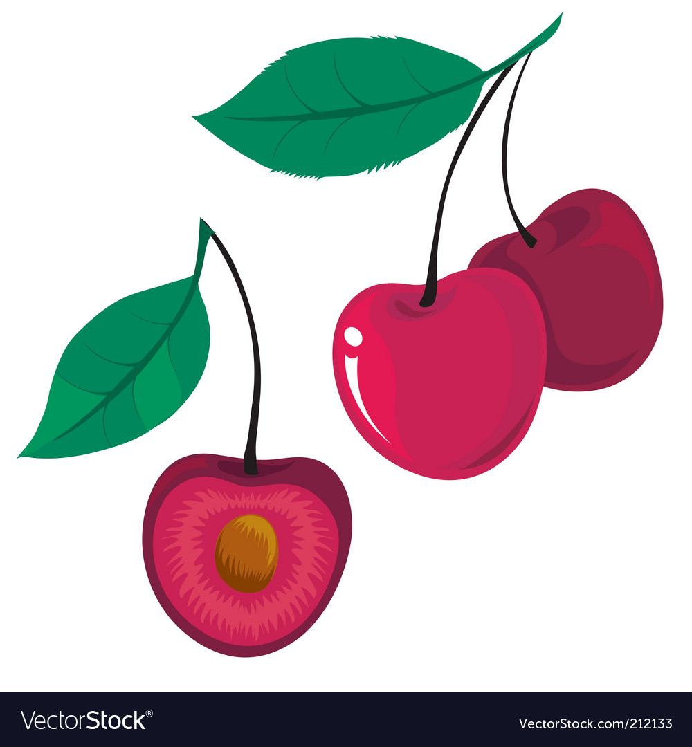 Cherry Royalty Free Vector Image - VectorStock