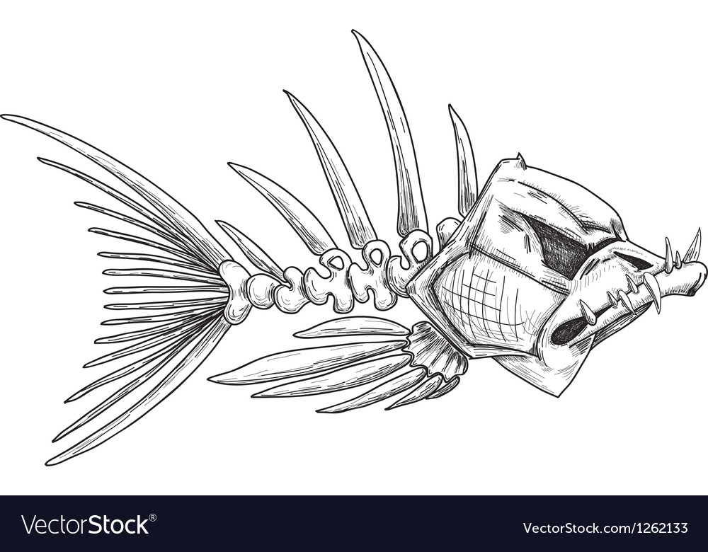 Download Sketch of evil skeleton fish with sharp teeth Vector Image