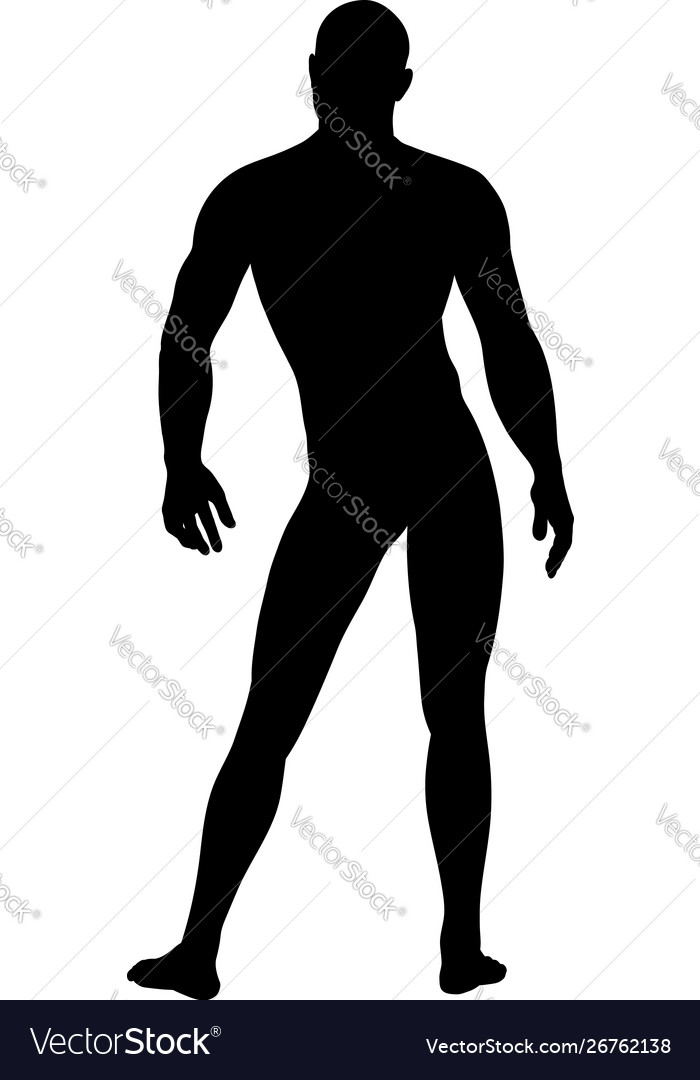 Standing pose man silhouette Royalty Free Vector Image