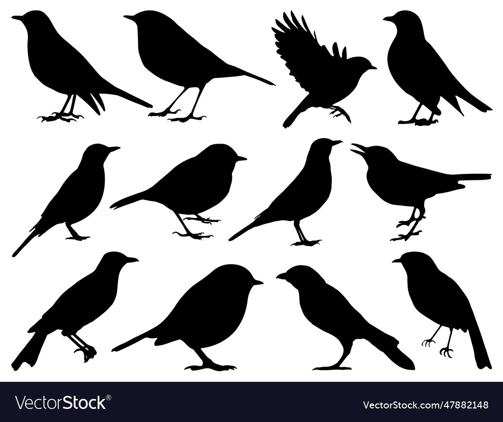 Robin Bird Silhouette Royalty Free Vector Image