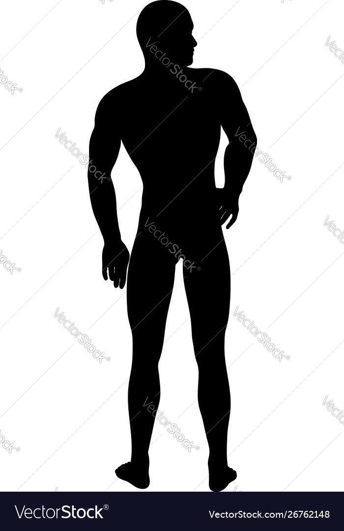 Standing pose man silhouette Royalty Free Vector Image