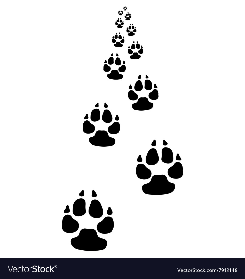 Trail of dog Royalty Free Vector Image - VectorStock