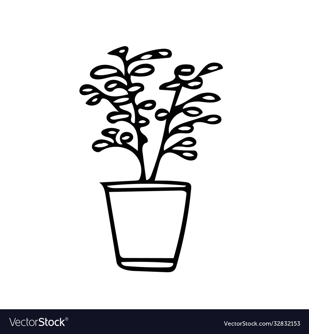 Potted plant hand drawn in doodle style element Vector Image